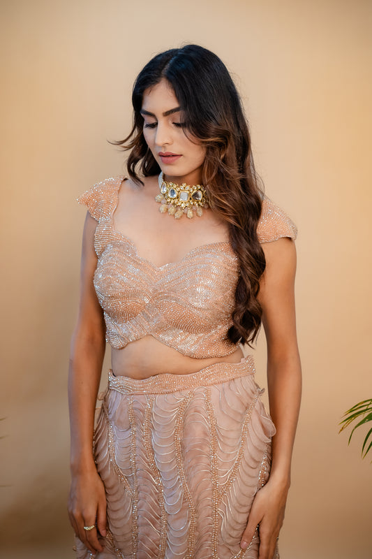 Charvi Lehenga Set