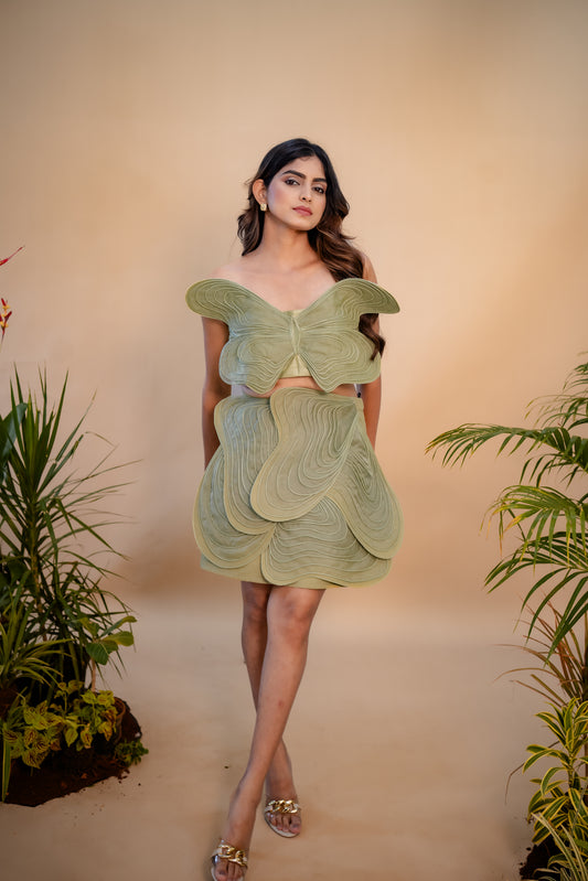 The Flutter Set